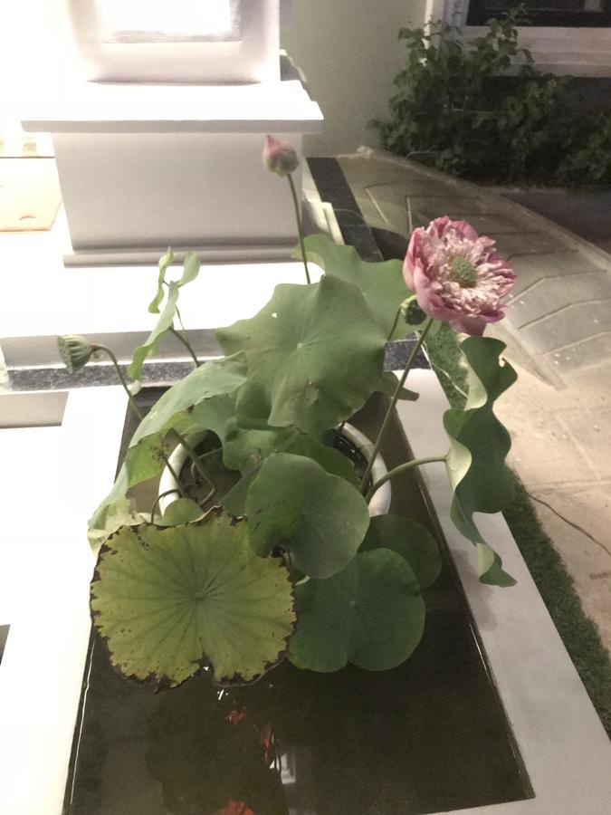 Sky Palace Boutique Hotel พระตะบอง ภายนอก รูปภาพ